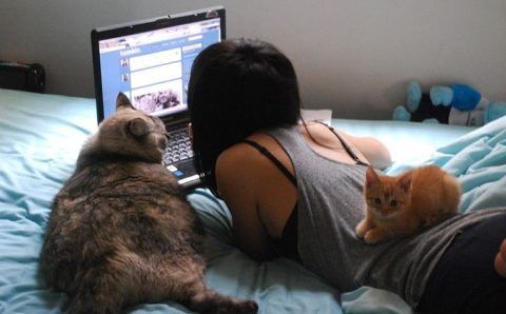 Индивидуалка Лиса фото № 2 в городе Железнодорожный